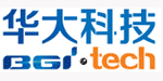 BGI Techsolutions Logo