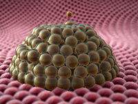 3D-Printing in the Life Sciences