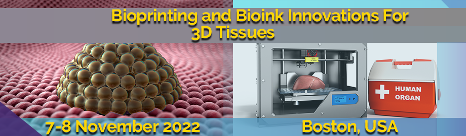 Bioprinting and Bioink Innovations for 3D-Tissues 2022