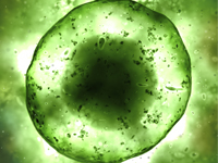 CellTech 2014