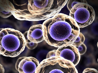 Extracellular Vesicles (EVs): Technologies & Biological Investigations