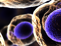Extracellular Vesicles & Nanoparticle-based Therapeutics Europe 2023