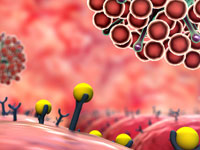 Immuno-Oncology Europe 2019