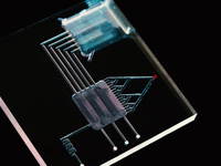 Lab-on-a-Chip and Microfluidics Europe 2020