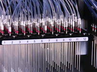 High-Content and Phenotypic Screening 2020