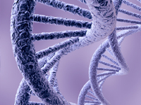 Molecular Medicine Congress