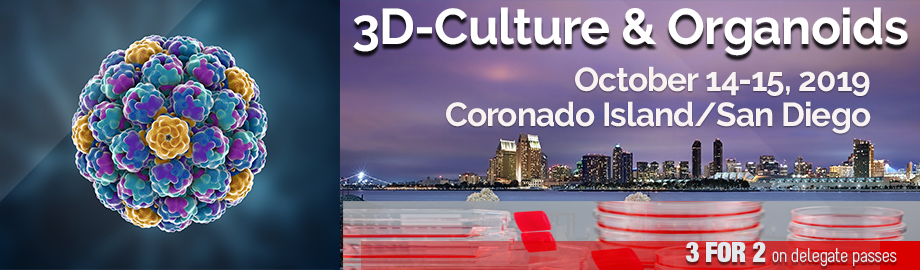 3D-Culture & Organoids 2019