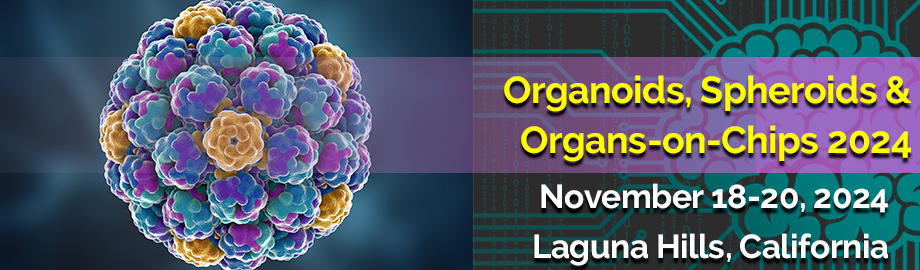Organoids, Spheroids & Organs-on-Chips 2024