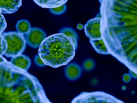 Single Cell Analysis Summit 2019