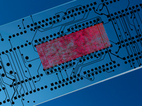 Lab-on-a-Chip and Microfluidics Asia 2022